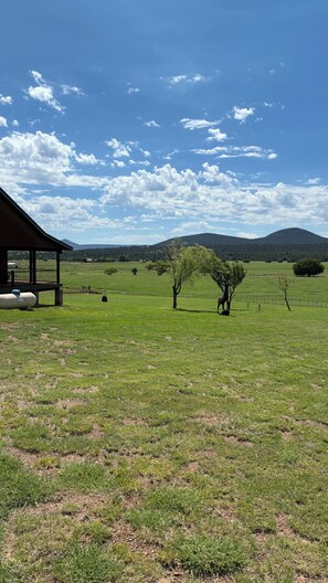 A grassy field with a fenced area, a building with a covered porch, and trees in the distance. - Clean home with a view, hunt Unit 23 in comfort! (Young)