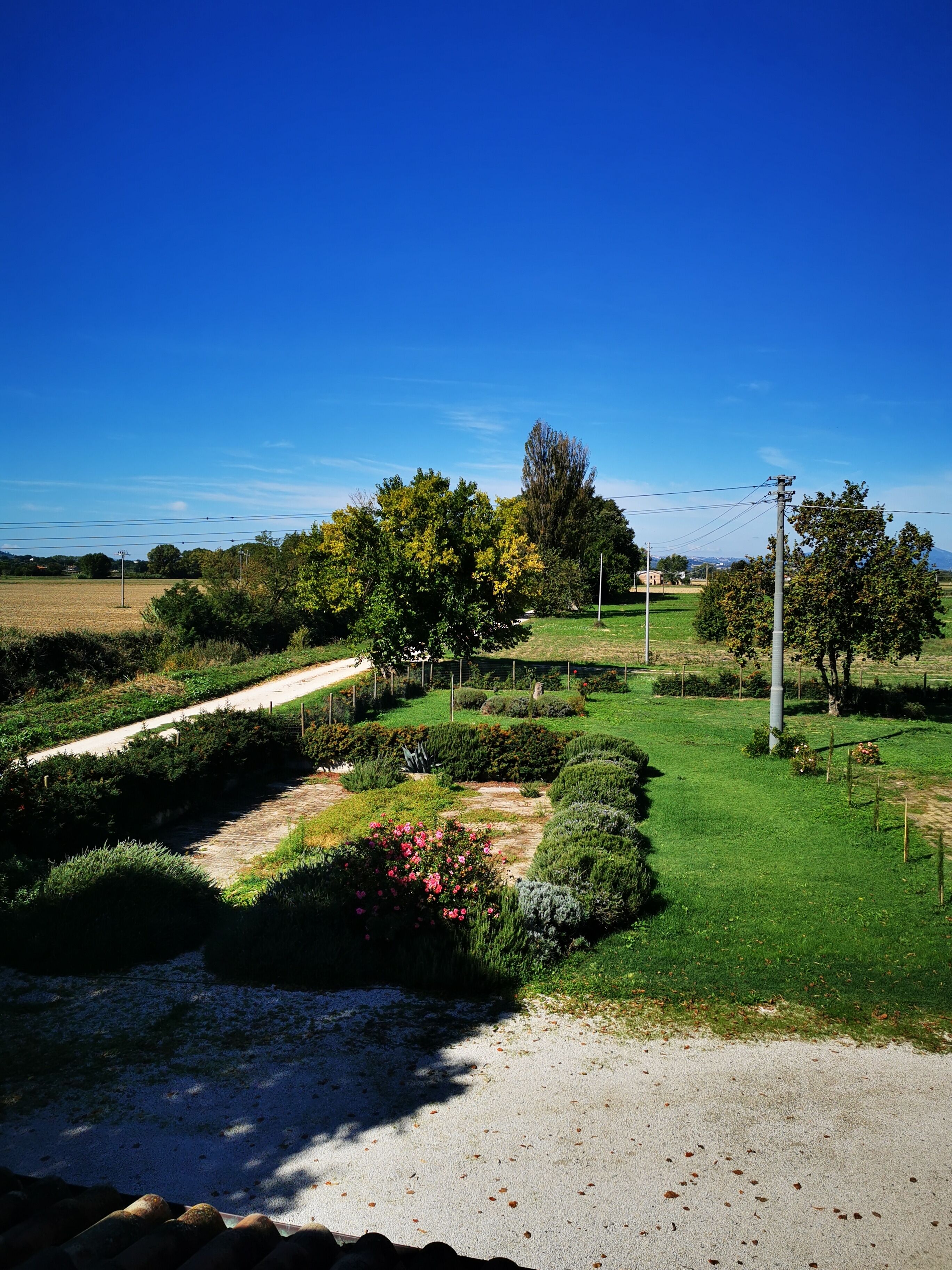 A well-maintained garden with a gravel path, neatly trimmed hedges, and a variety of trees.