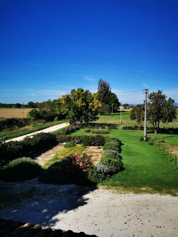 A well-maintained garden with a gravel path, neatly trimmed hedges, and a variety of trees.