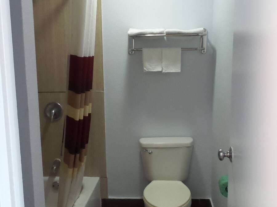 A small bathroom with a toilet, a shower, and a towel rack.