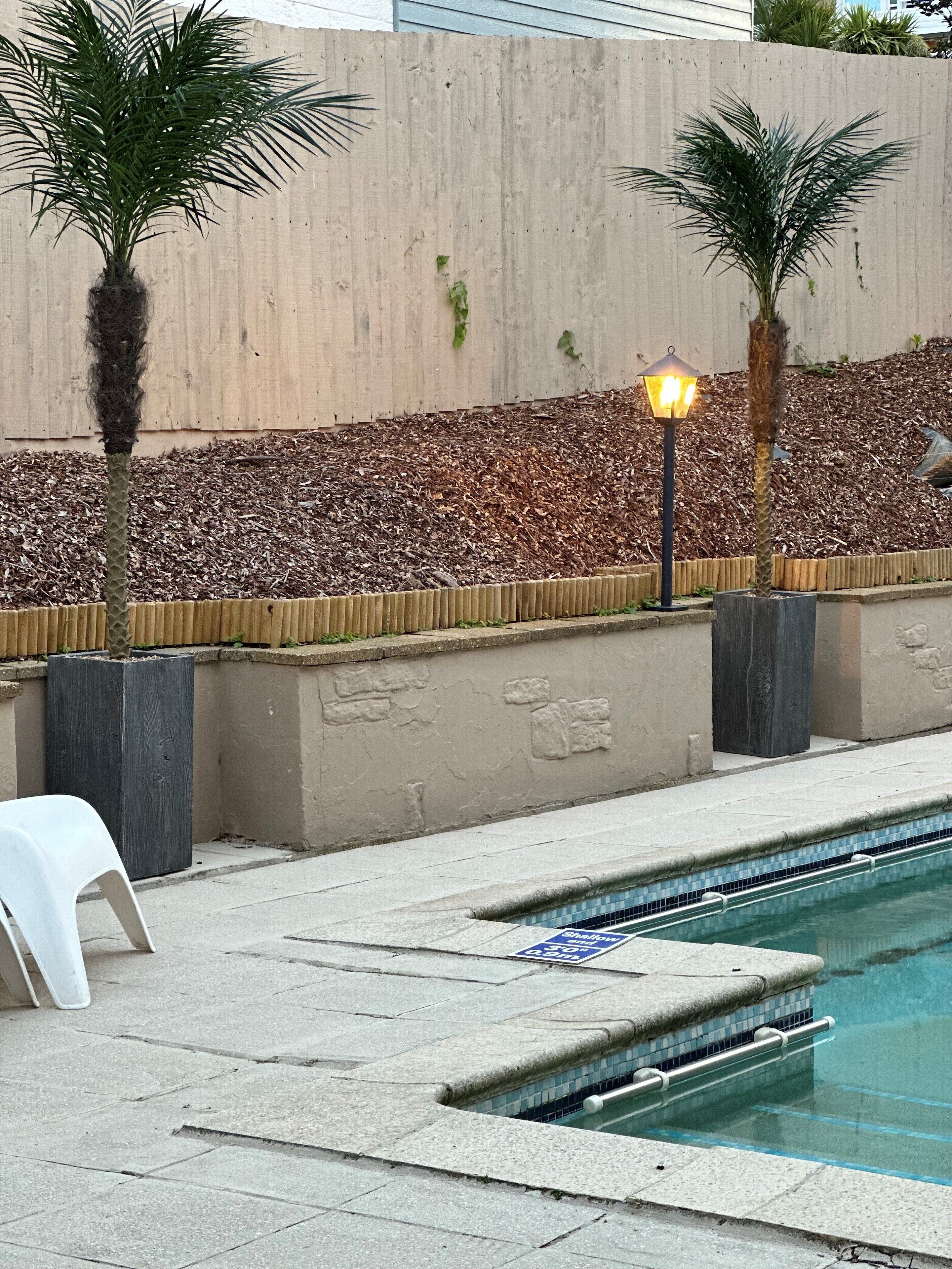 A pool area with a tiled edge, a white lounge chair, and two palm trees in planters.