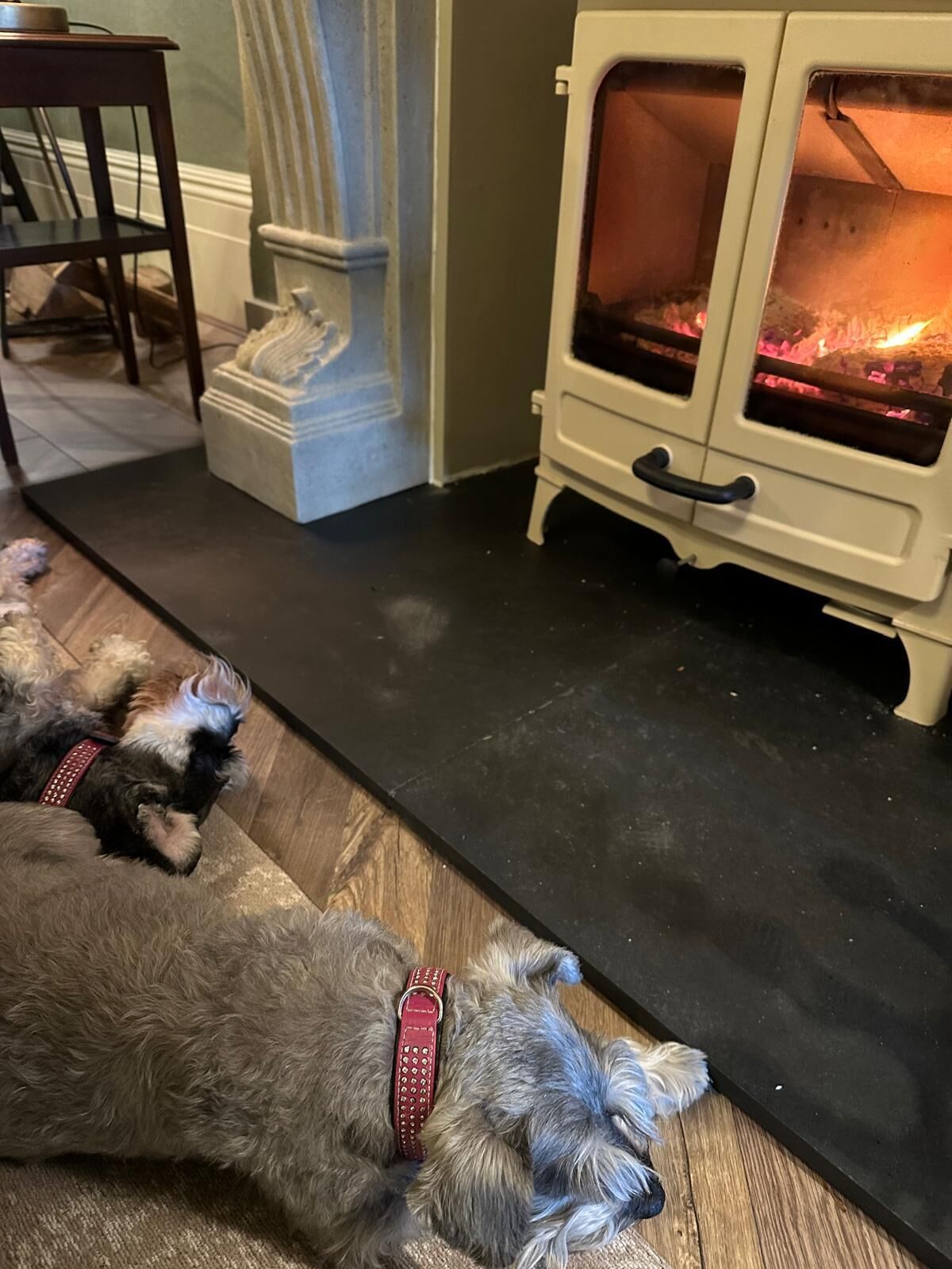 A room with a white wood-burning stove, a stone fireplace, and a dog lying on the floor.