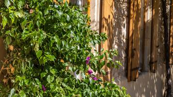 DĂ©tail de lâextĂ©rieur