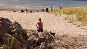 Une plage avec des gens et un chien, un ciel dégagé et une côte lointaine.