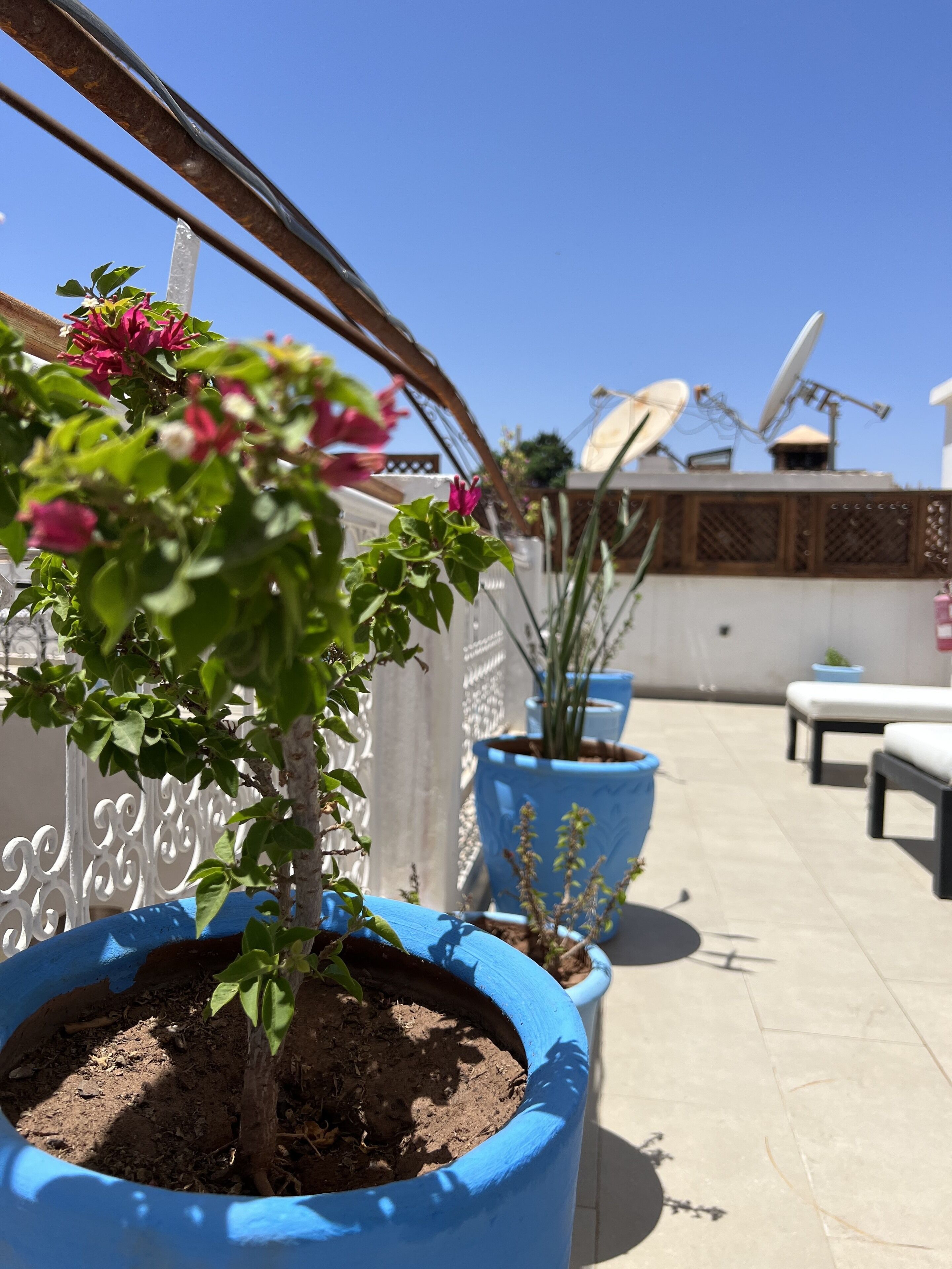 Foto - Riad excellence