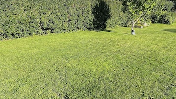 Área da propriedade
