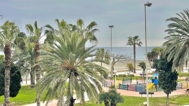 Un parc avec des palmiers, une aire de jeux et une vue sur la mer.