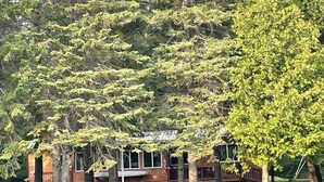 A cabin with a deck and a pond in front.
