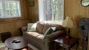 TV, DVD player, video library