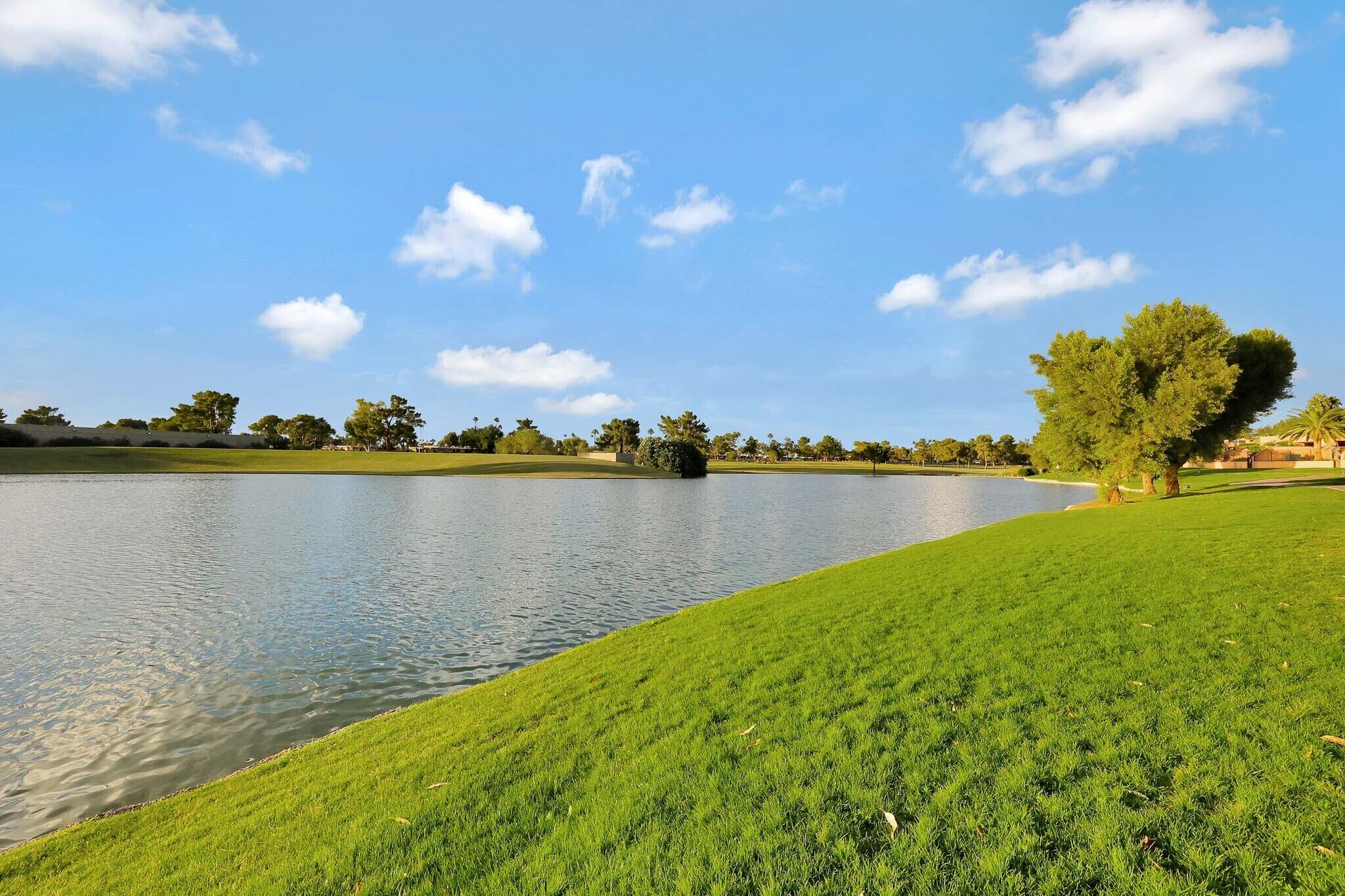 A serene lakeside view with a grassy area and trees.