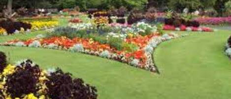 Overnatningsstedets område