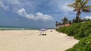 Una playa con cielo despejado, orilla arenosa y una palmera.