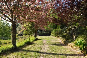 Property grounds - Villa Amelina - Seven Bedroom Villa, Sleeps 16 (Refóios do Lima)