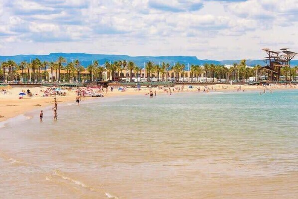 A beach with palm trees, a sandy shore, and a mountainous background.