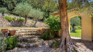 Un escalier en pierre mène à une arche rustique, qui est elle-même entourée d’oliviers et de plantes en pot.