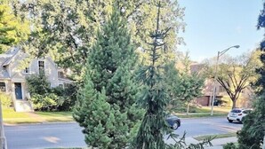 A residential street with a row of houses, a small tree, and a potted plant on the sidewalk. - Historic Oak Park Residence (Oak Park)
