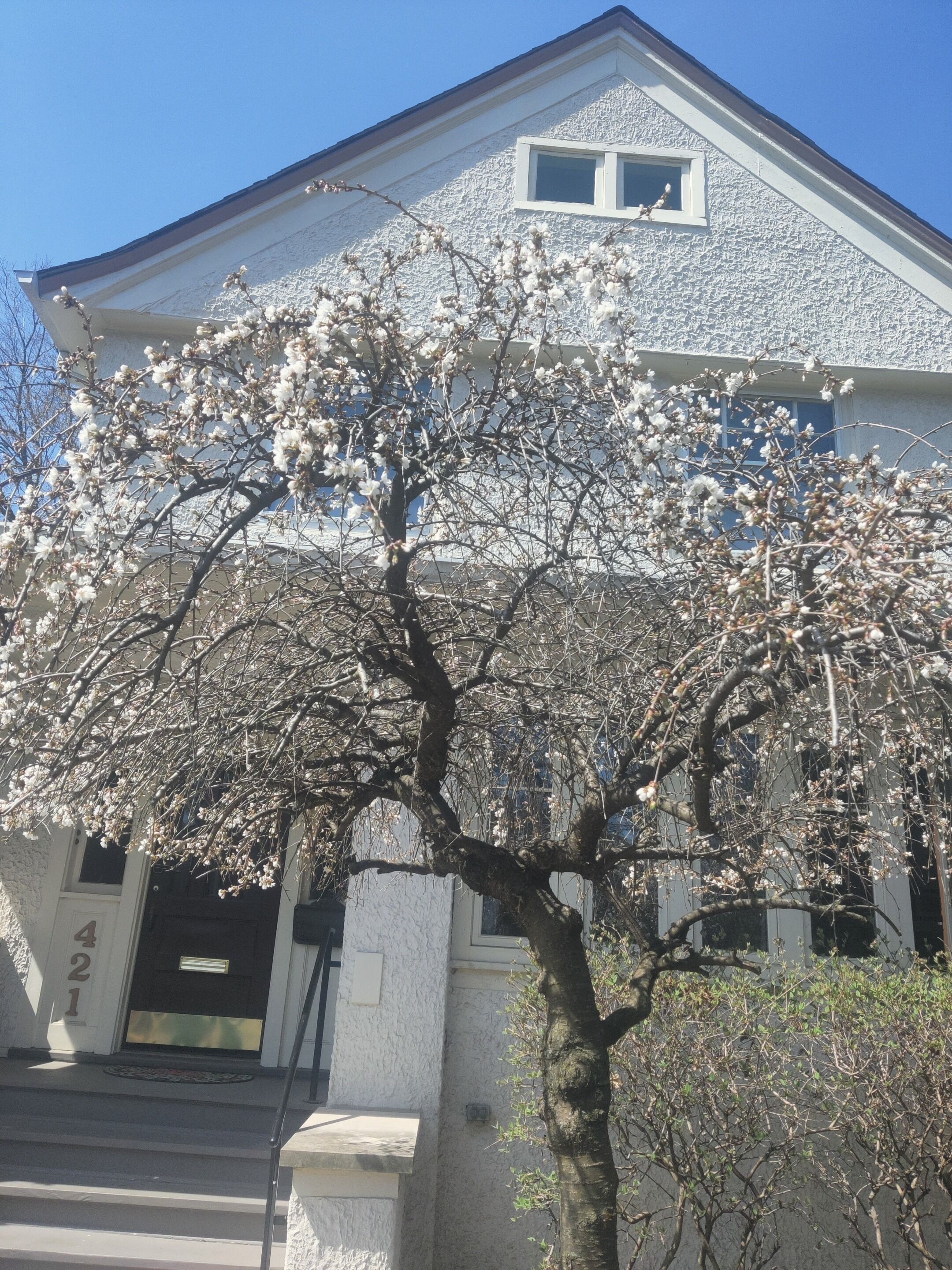 Exclusieve kamer, privébadkamer, uitzicht op tuin (2nd Floor) | Exterieur