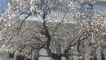 独特客房, 私人浴室, 花园景观 (2nd Floor) | 外观