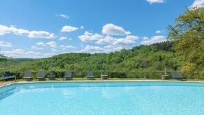 A swimming pool with lounge chairs and a view of a forested hillside. - Villa Vigneto Estate (Gaiole in Chianti)