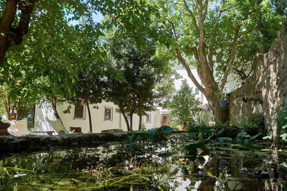 A serene courtyard with a pond, trees, and a building with white walls and windows.