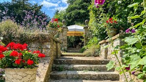 Una escalera de piedra conduce a un espacio cubierto, rodeado de vegetación exuberante y macetas con flores rojas y moradas.