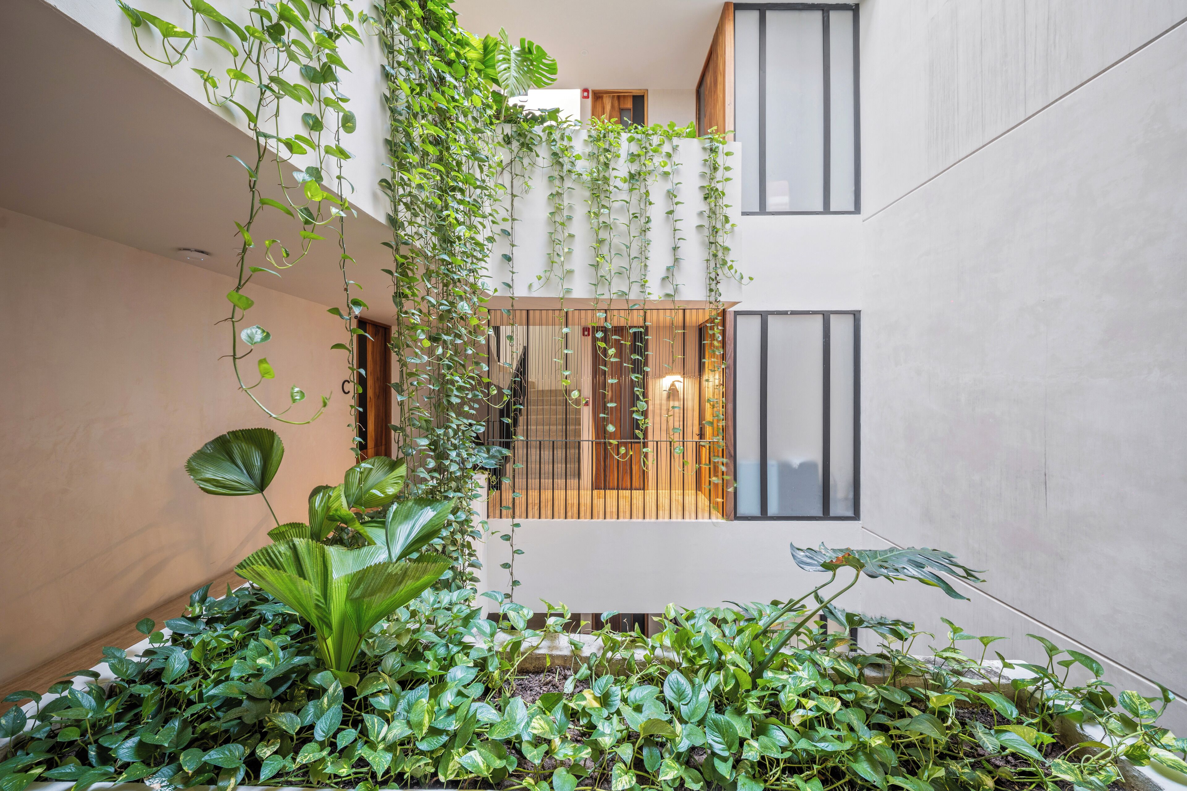 Un edificio moderno con un patio interior lleno de follaje y una escalera de madera que lleva a un nivel superior.