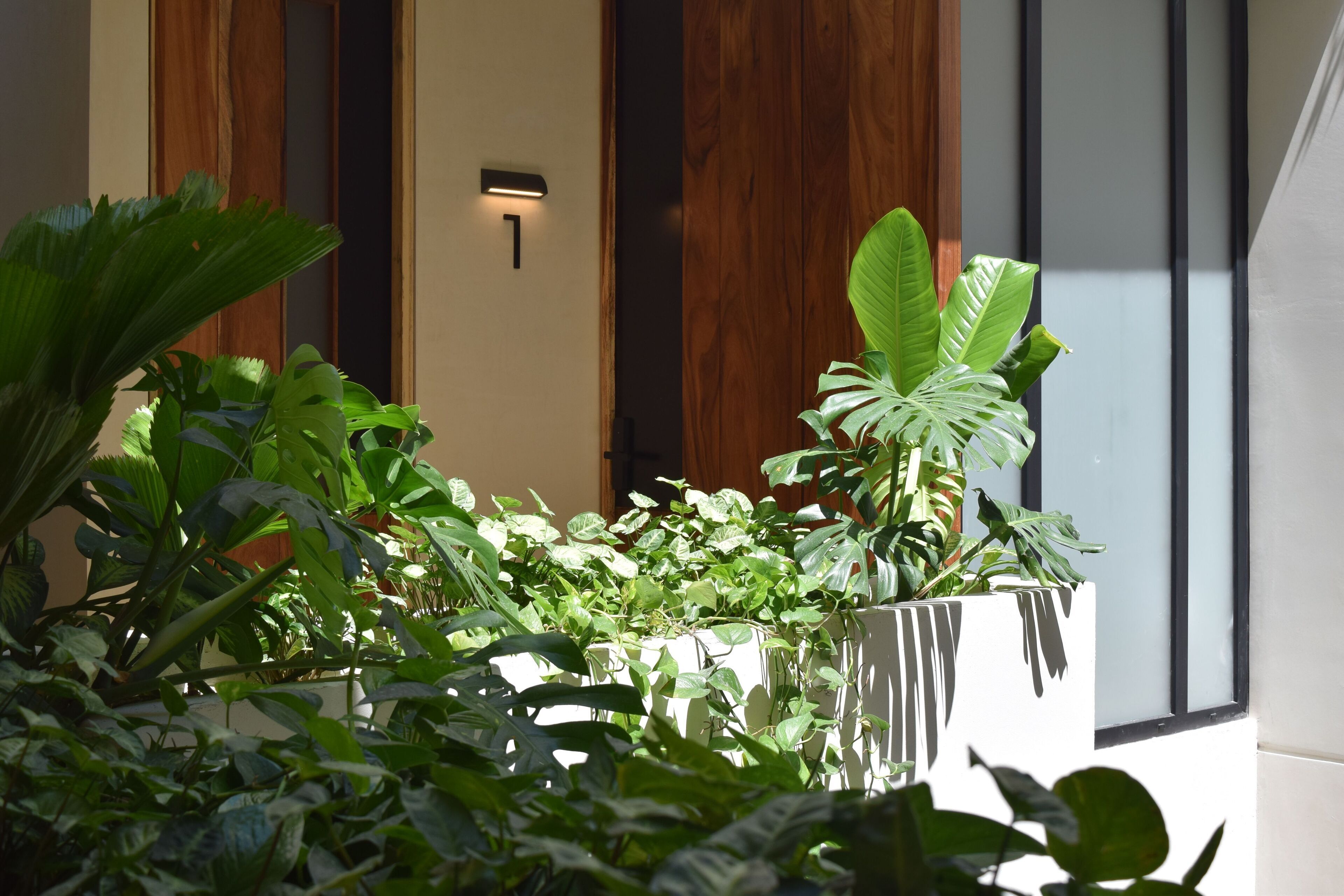 A room with a large potted plant arrangement, a wooden door, and a wall-mounted light fixture.