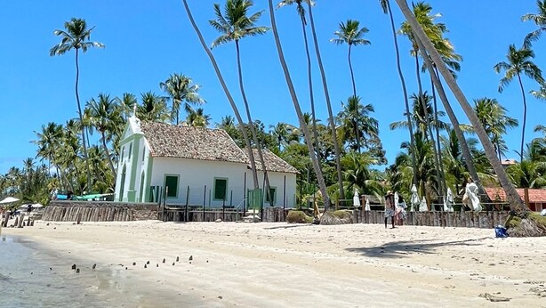 A beach with tall palm trees and a small building with a tiled roof.
