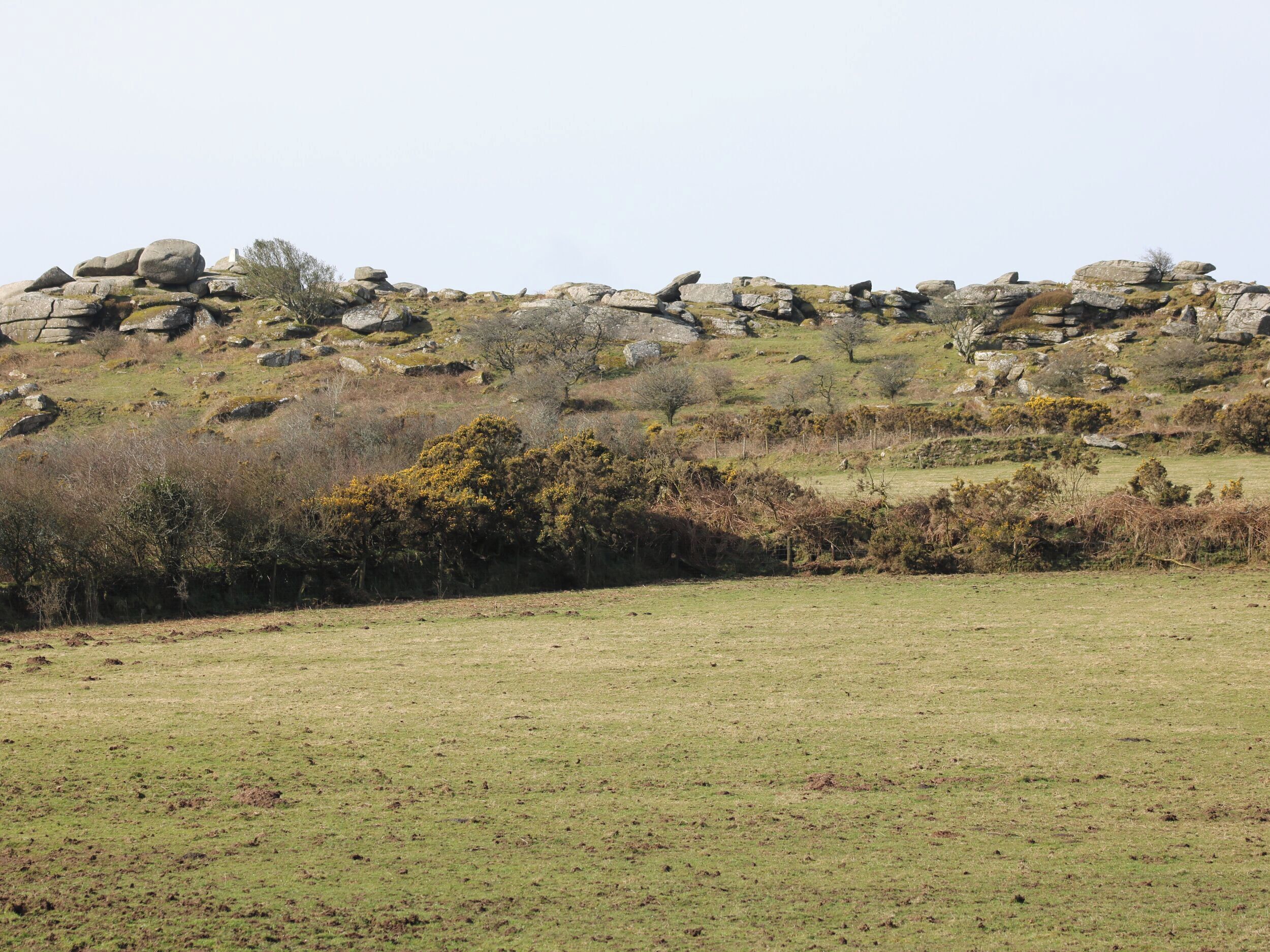A grassy field with a rocky hill in the background.