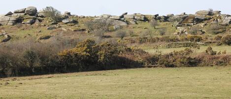 A grassy field with a rocky hill in the background.
