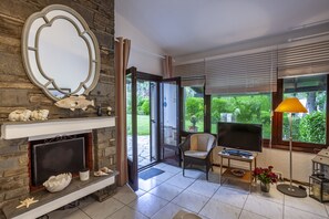 Smart TV, chimenea y libros