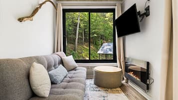 TV, fireplace, stereo