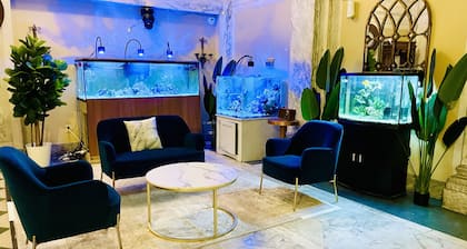 Cozy Highrise 2 br Apt - Downtown Memphis!