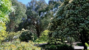 Un jardín con varios árboles y arbustos, un sendero y una pequeña estructura al fondo.