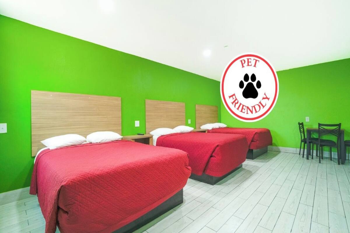 A pet-friendly hotel room with two beds, green walls, and a pet logo.