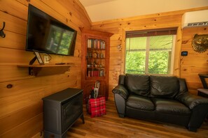 Televisión, chimenea y libros 