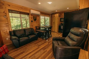 TV, fireplace, books