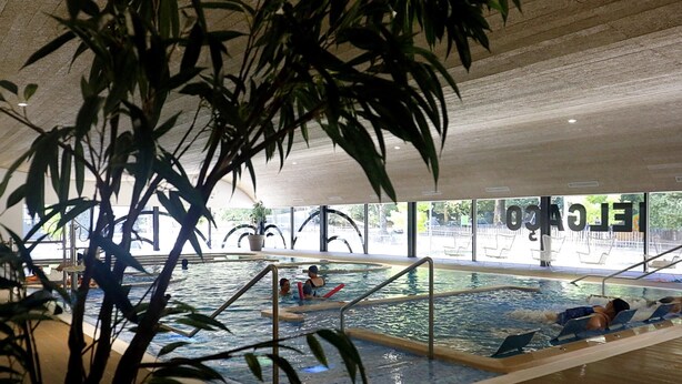 En inomhuspool med väggar av genomskinligt glas, omgiven av krukväxter och ett kaklat golv.