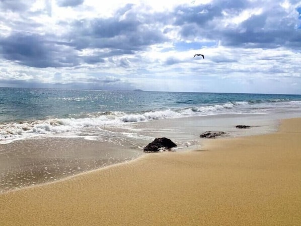 Aurinkotuoleja, rantapyyhkeitä