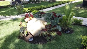 A garden with a large rock centerpiece surrounded by various plants.
