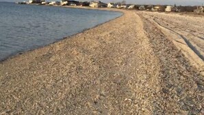 A pebbled beach with a clear sky and distant buildings. - Catherine’s Place (Southampton)