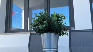 Una planta en maceta sobre una superficie reflectante cerca de una ventana.