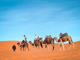 Un grupo de personas montando camellos en un desierto.