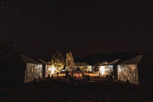 Varias tiendas de campaña iluminadas de noche bajo un cielo estrellado.