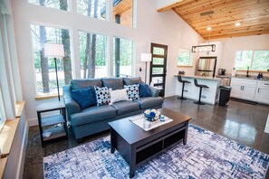 スマートテレビ、暖炉、DVD プレーヤー