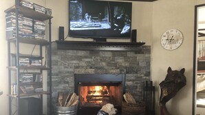 A living room with a fireplace, a television, and a bookshelf filled with books.