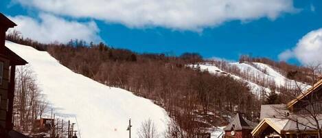 Terrain de lâhĂ©bergement