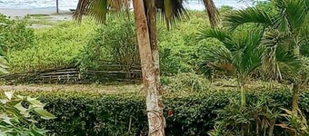 Beach front suite apartment