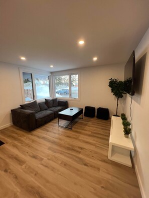 Televisión y libros 