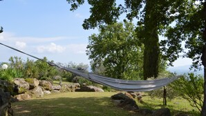 A hammock tied between two trees in a grassy area with rocks and a view of the sea. - Panoramic Sea Views Immersed in Nature Quiet Peaceful Private Villa Retreat (Toscana)